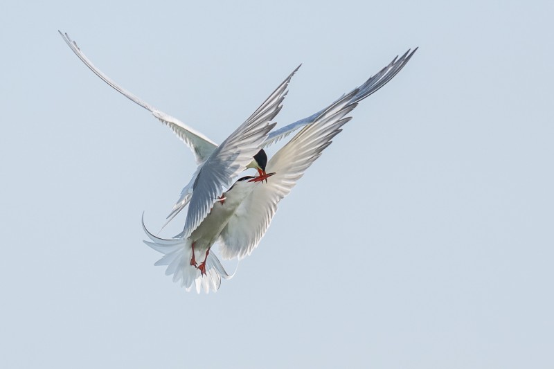 Hoog in de lucht