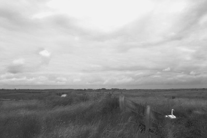 Ordening en landschap