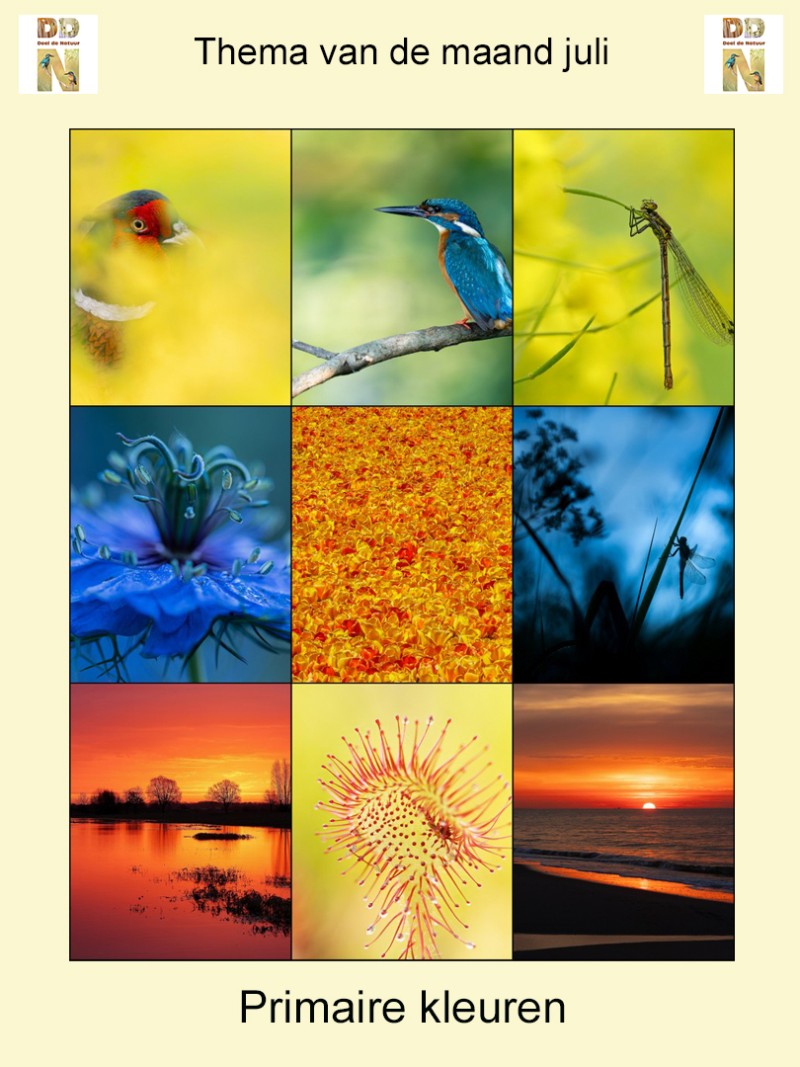 Thema van de maand juli "Primaire kleuren"