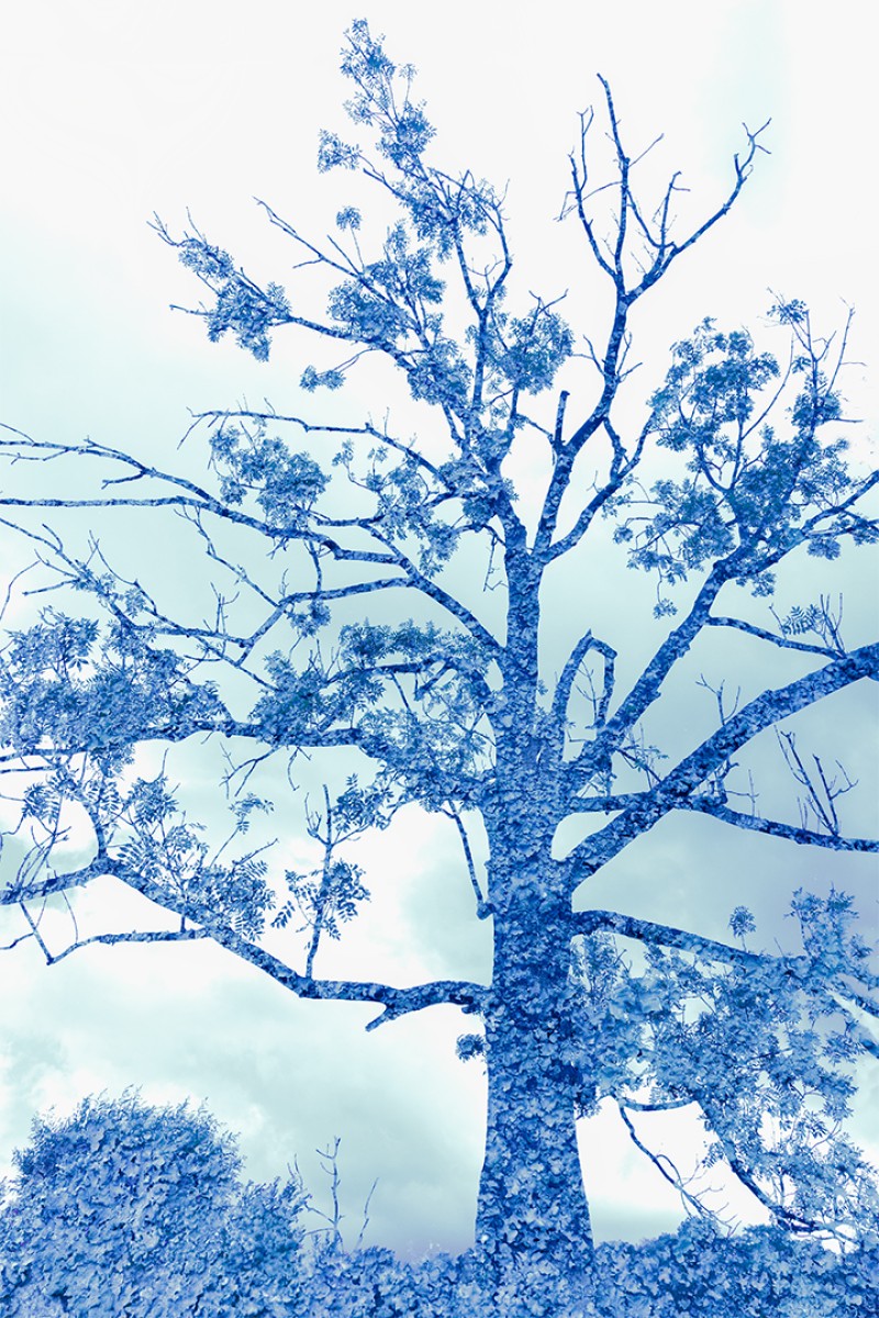 Delftsblauw