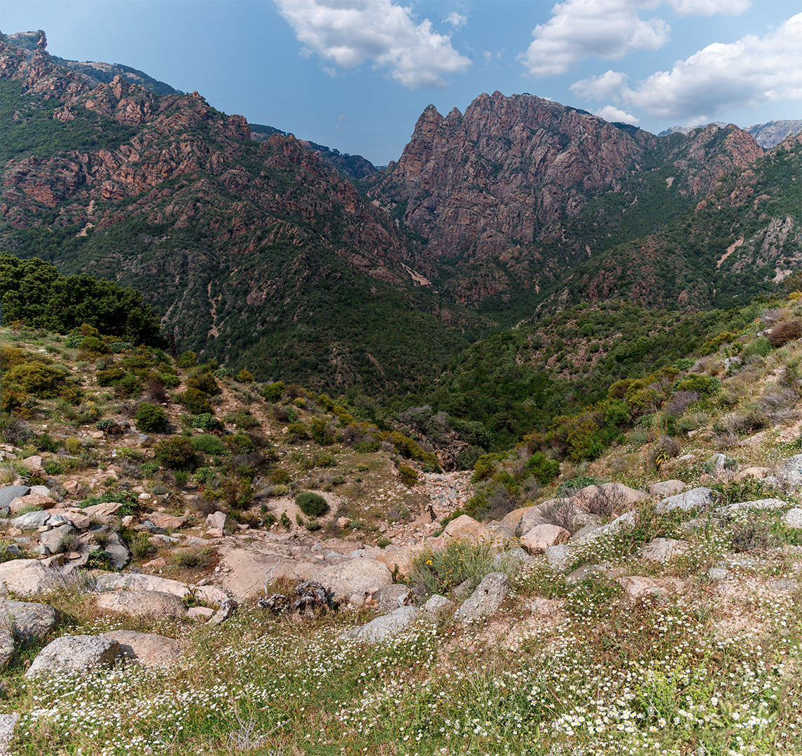 IMG_2580-Pano-corr 1080PX sRGB