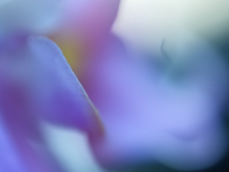 Kleuren