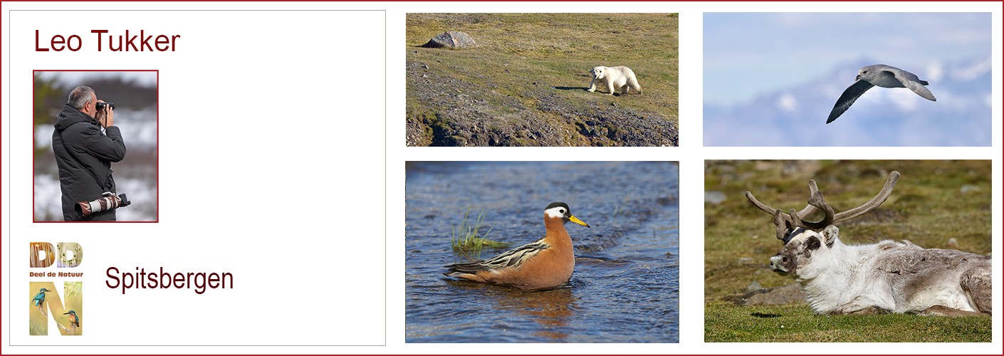 Spitsbergen