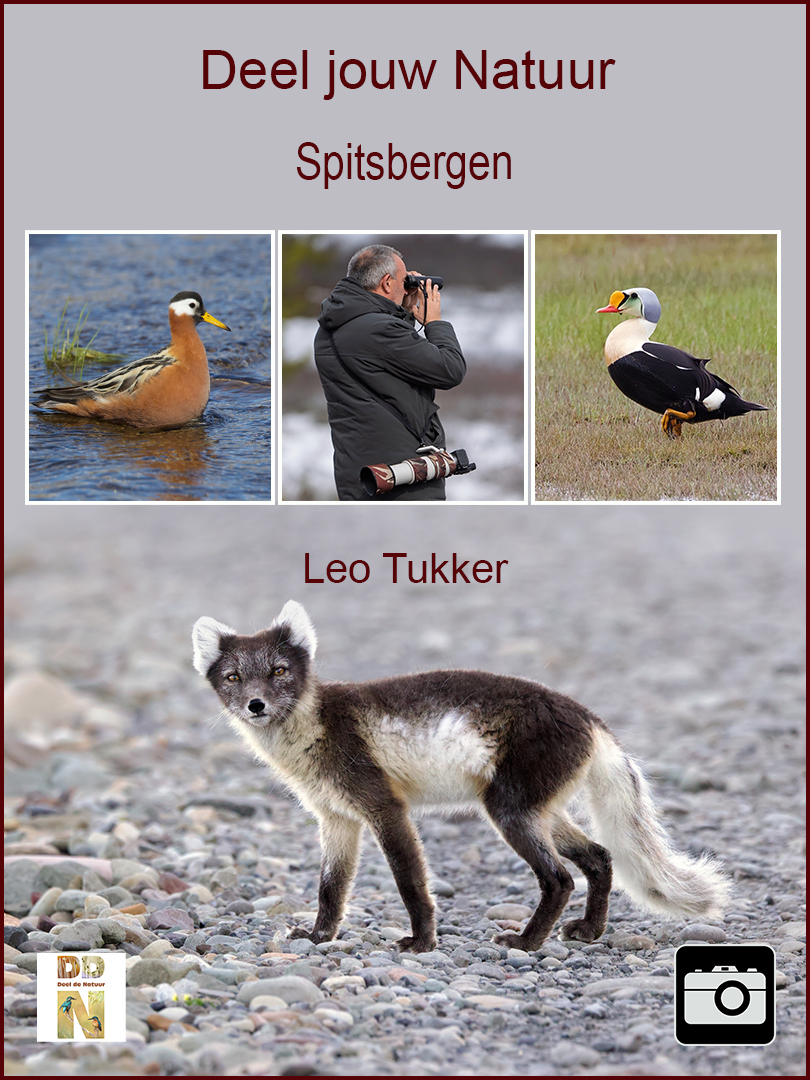 Leo Tukker - Spitsbergen Spotlight sRGB
