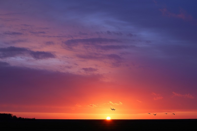 Blauw,rood en geel.