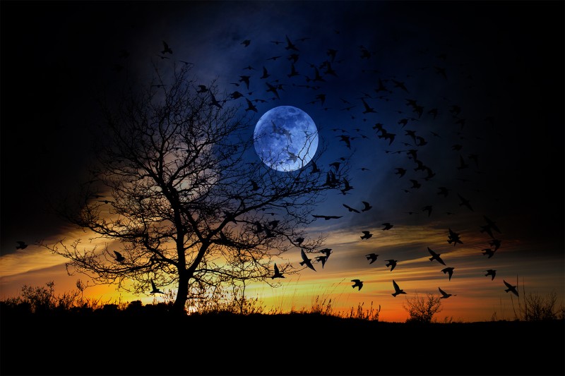 To the moon and back