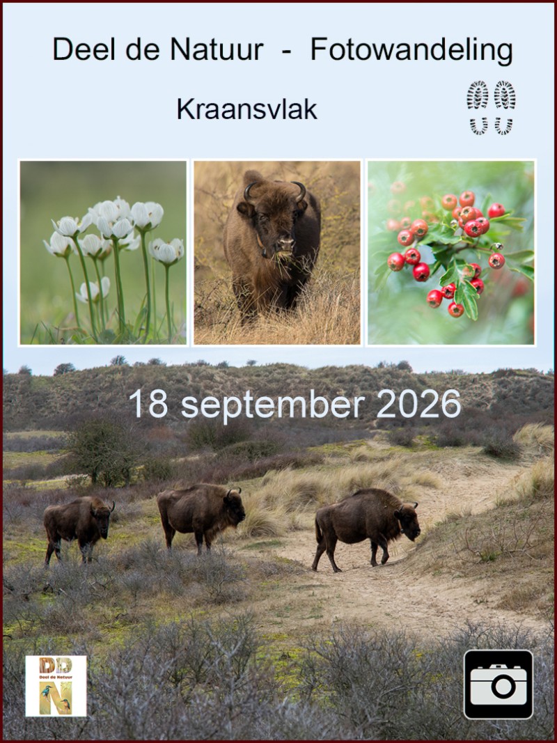 Fotowandeling Kraansvlak