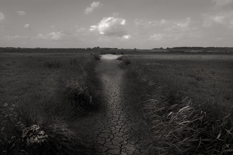 Droogte
