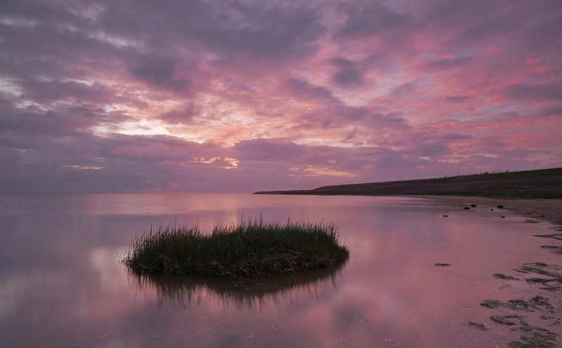 Purple sky.