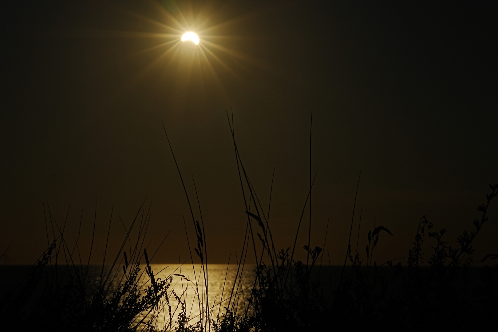 DSC00097 DDN Eclips 12082026 