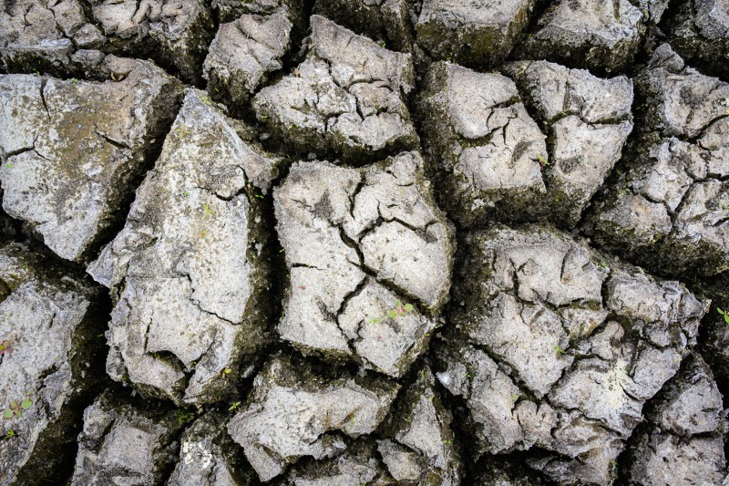 Extreme droogte en nieuw leven op Het Oerd