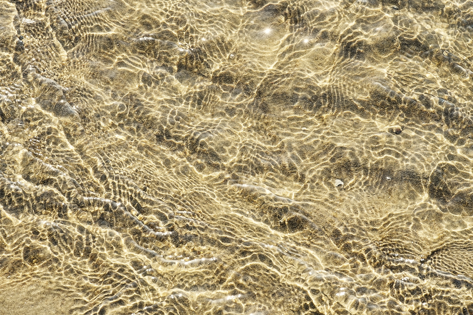 DSC09670 DDN2 strand 12082026 2c