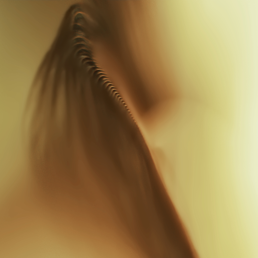 P8150150