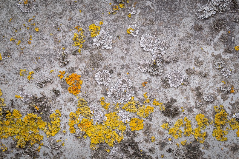 Kleurrijk abstract beeld