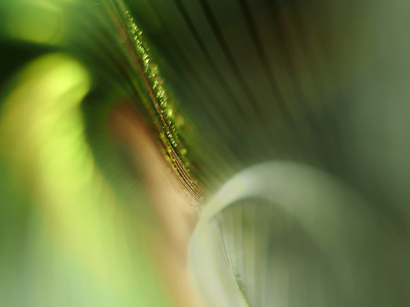 Abstract