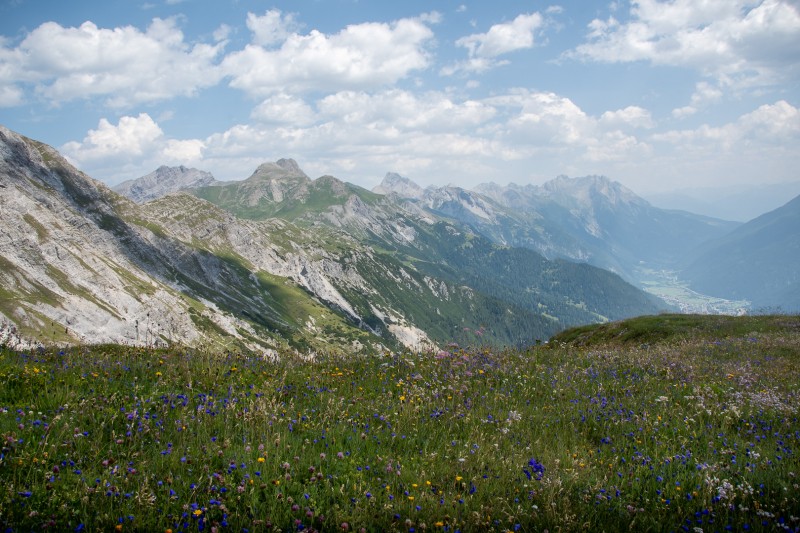 Bloemenpracht