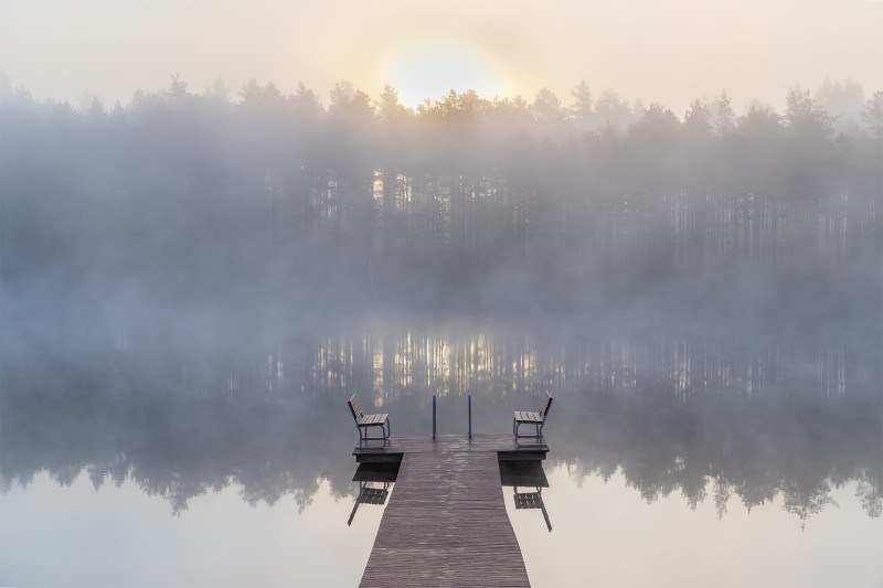 Ochtendmist