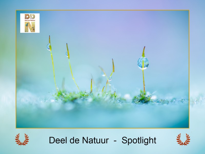 Spotlight!