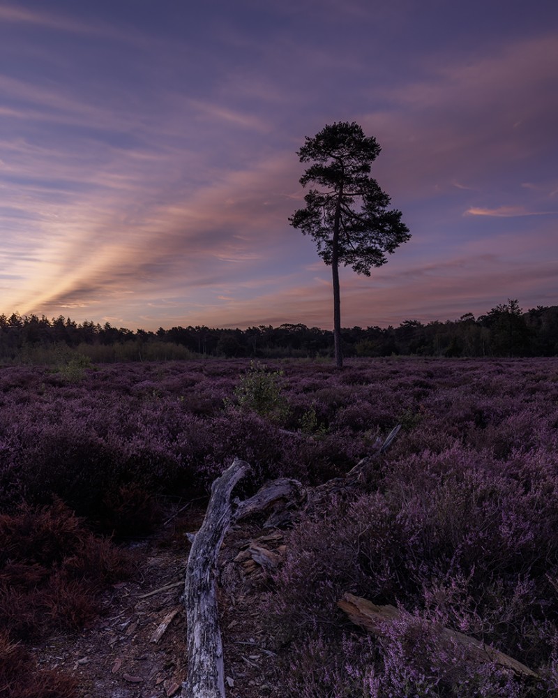 Kleurrijke zonsopkomst