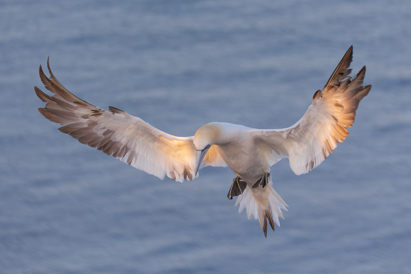 20260825_Helgoland-2