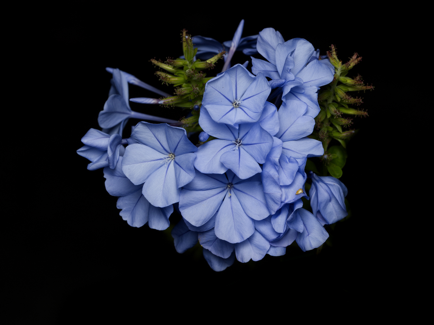 P7190521-1