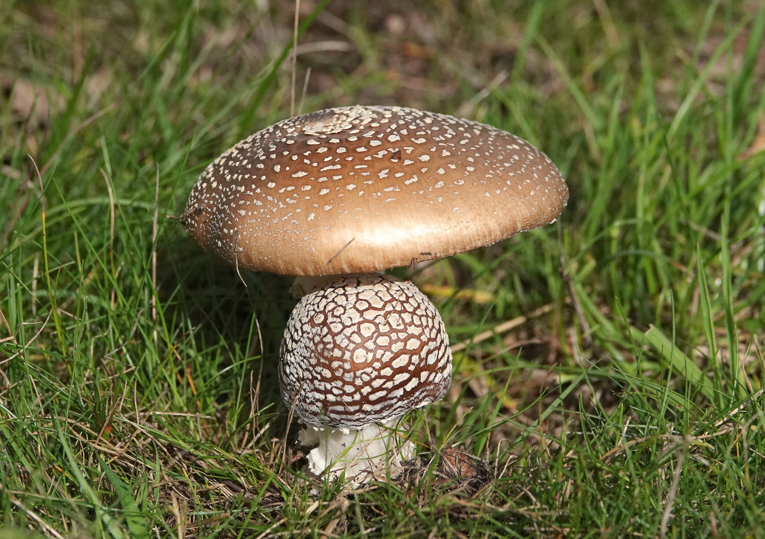 DSC02827