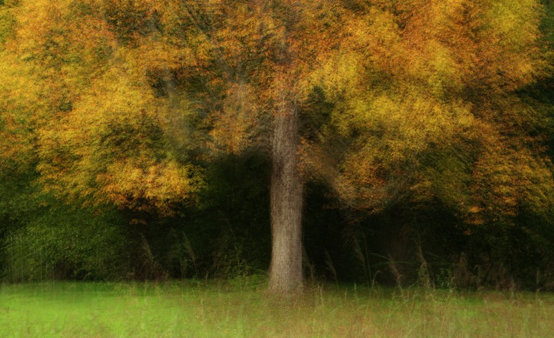 De herfst in aantocht