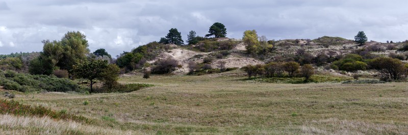Kraansvlak