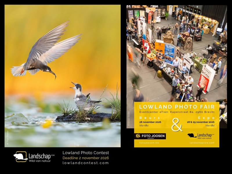Lowland Photo Contest