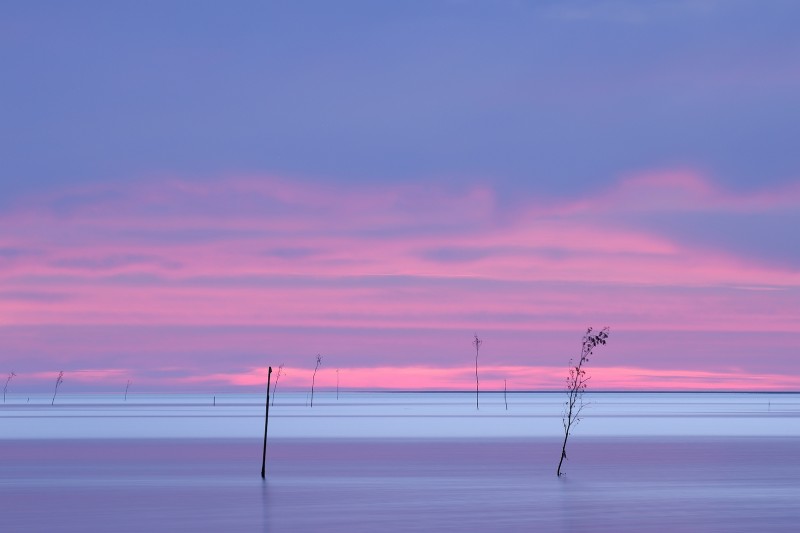 Uitzicht over het wad.