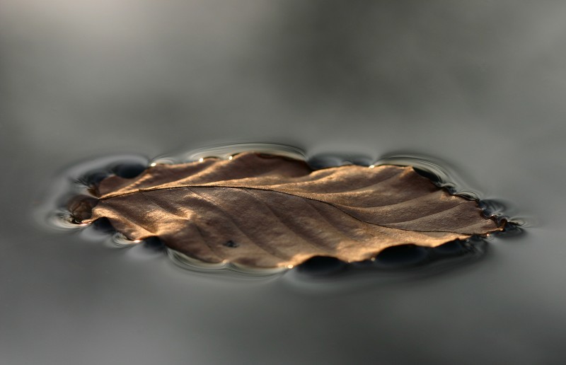 Rust