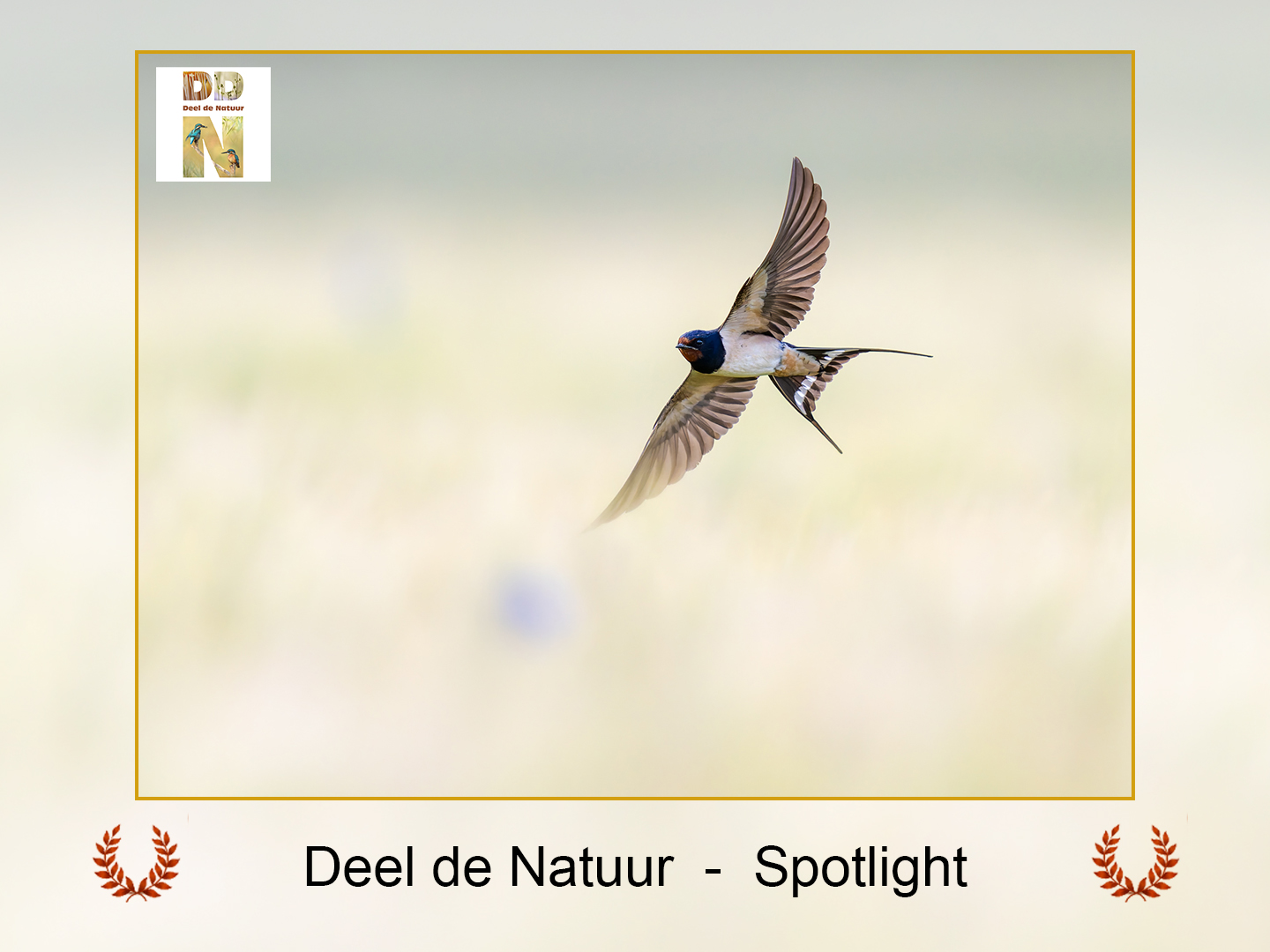 DDN Spotlight 25-09-2026
