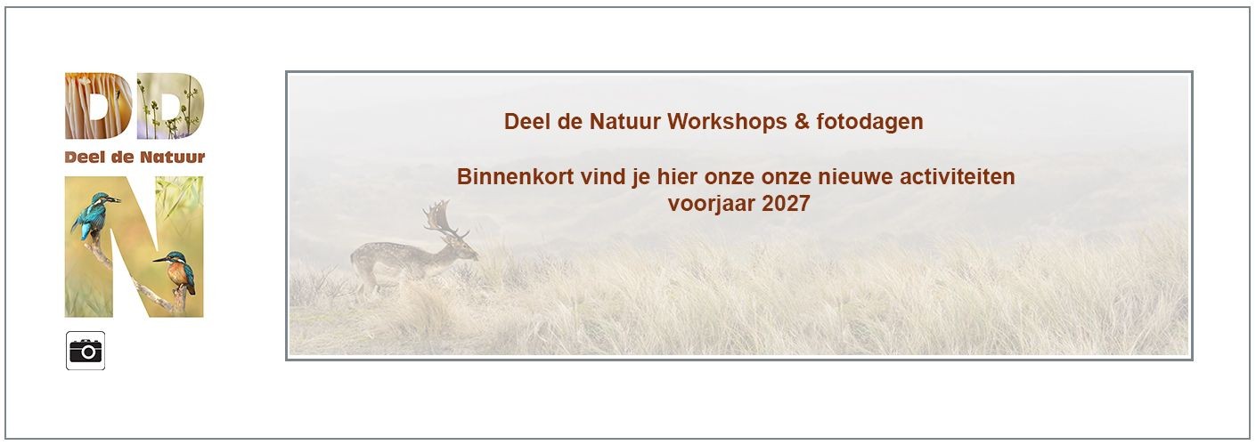 Binnenkort nieuwe activiteiten voorjaar en zomer 2027!
