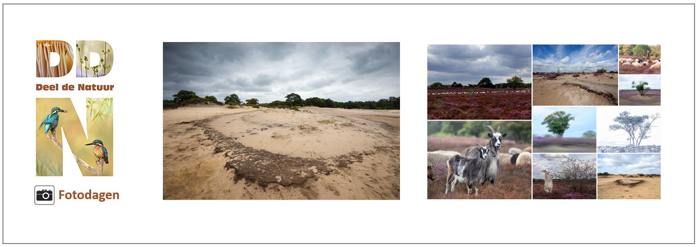 Fotodag Zuiderheide