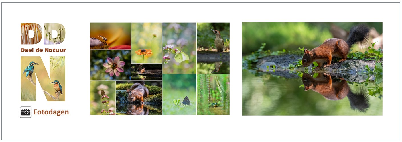 Fotodag Special Boerenglop