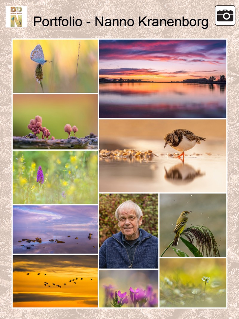 Portfolio Nanno Kranenborg