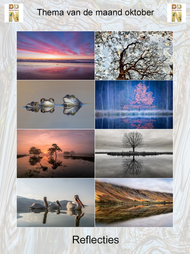 Thema van de maand oktober "Reflecties"