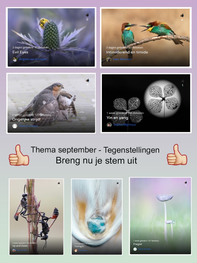 Stemmen!
