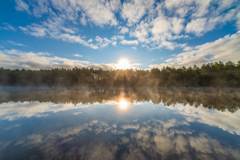 Reflectie
