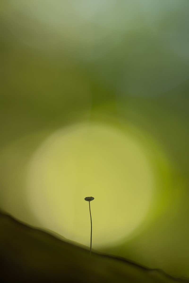 Zen