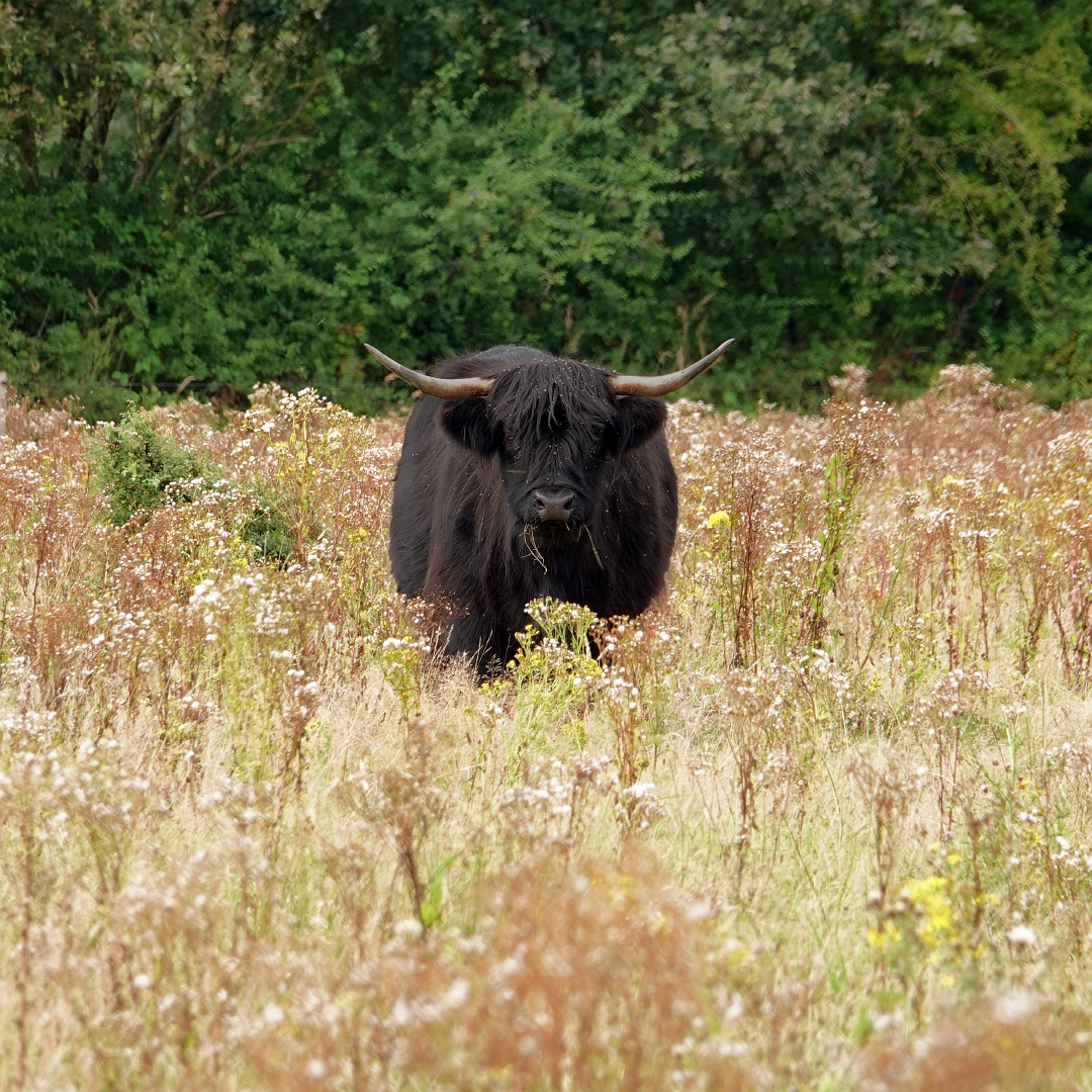 sized_DSC01359_bewerkt-1