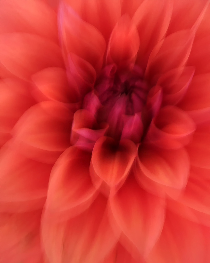 IMG_0406-verkleind-DDN-