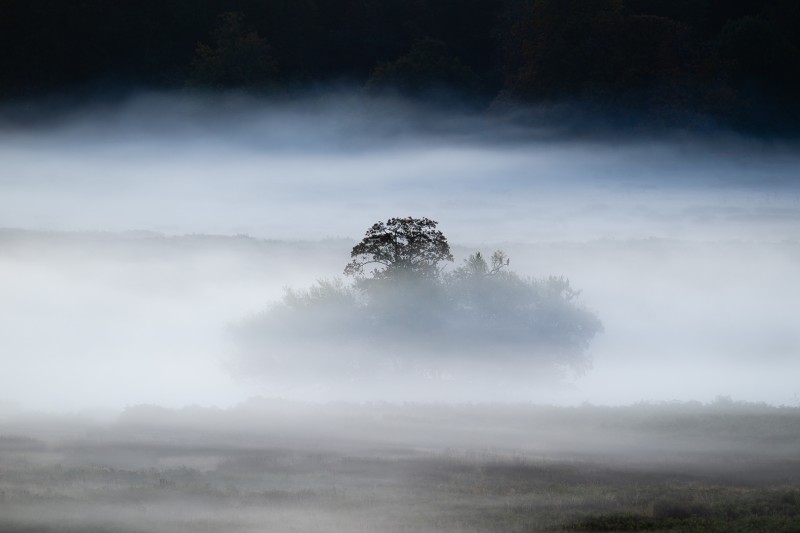 A foggy morning