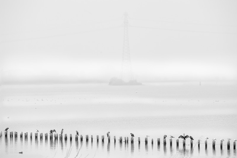 Mist