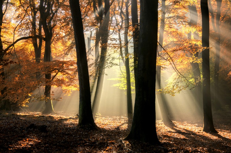De zon streelt de aarde.