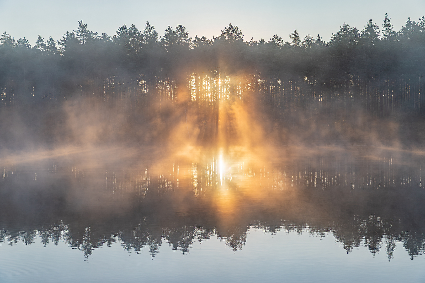 IMG_7803ddn
