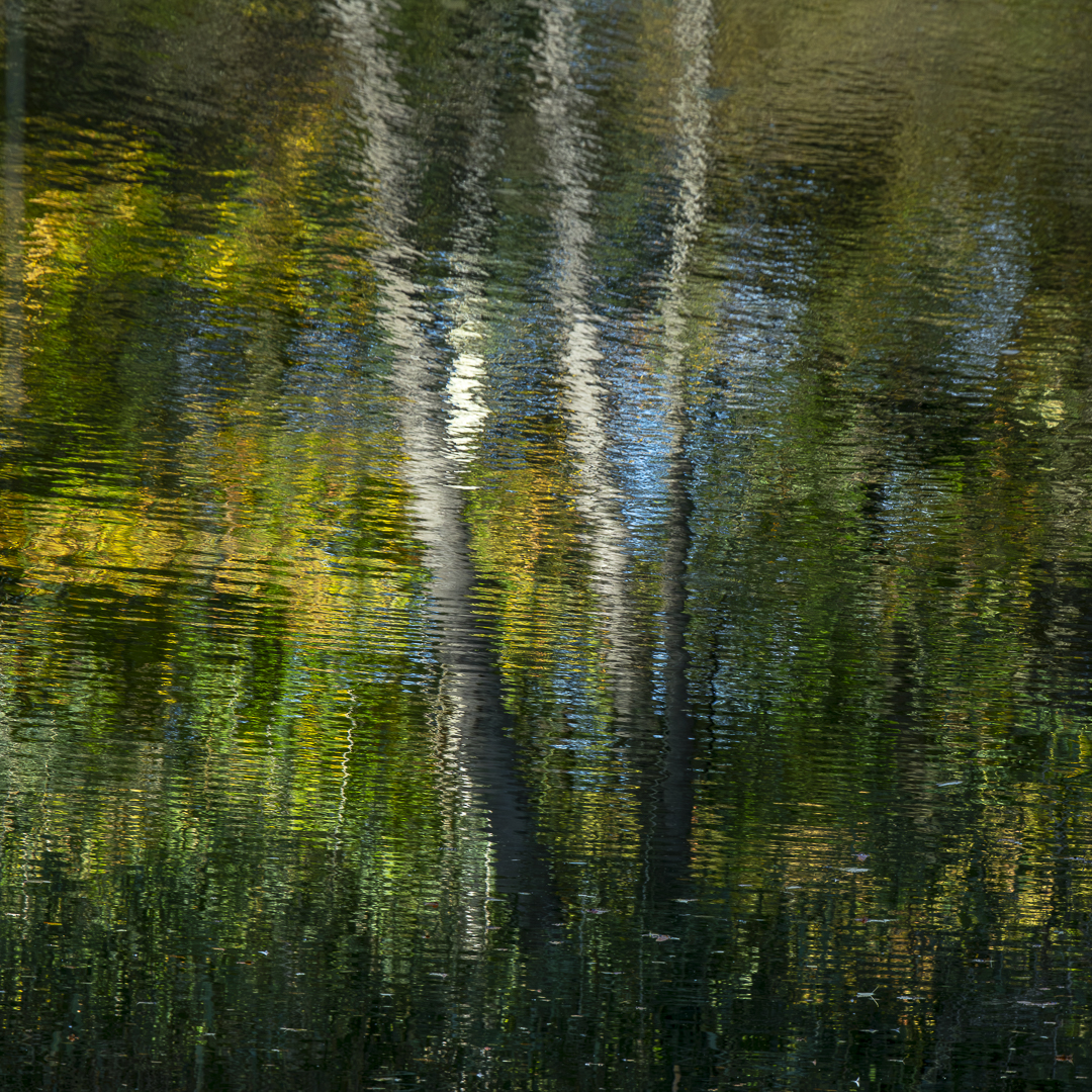 Spiegeling