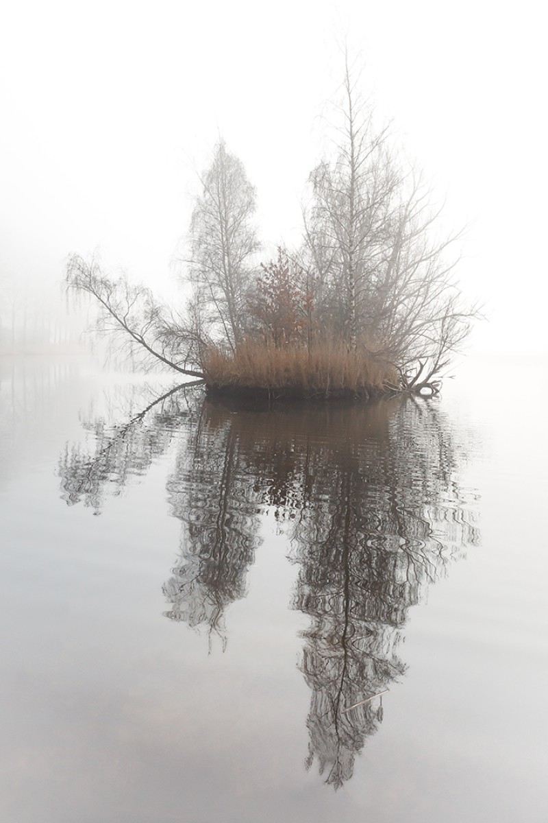 Eiland