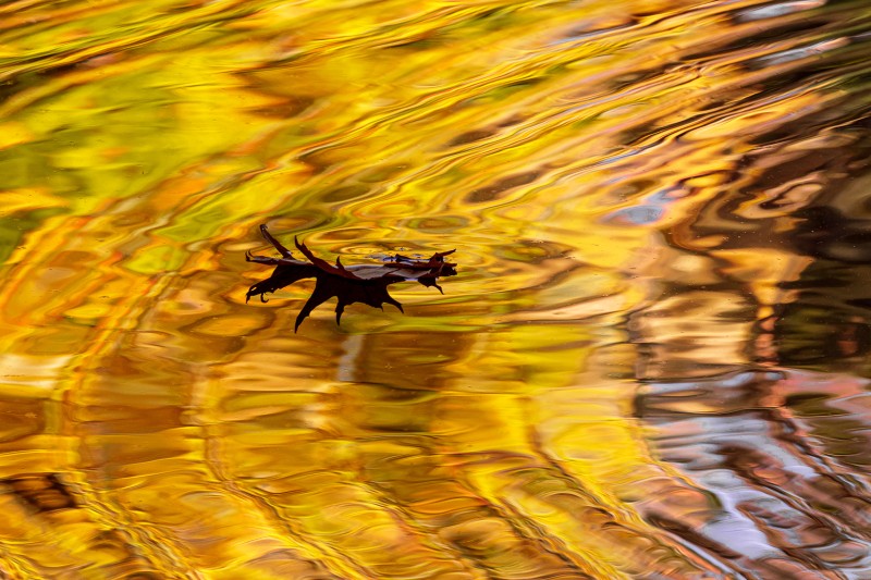 Drowning in gold