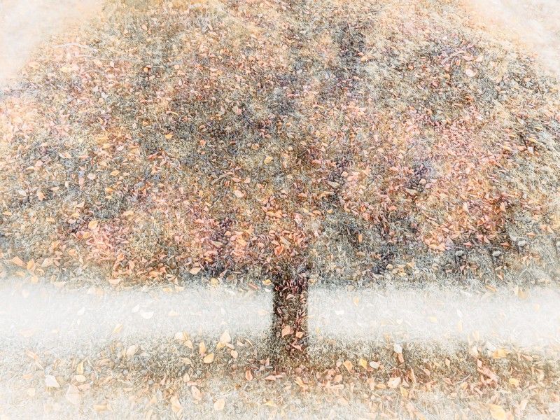 A creative coat of fall